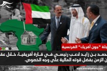 موانئ وأراضٍ زراعية وأسلحة.. ما الذي تبحث عنه الإمارات في أفريقيا؟