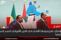 الإمارات تعزز وجودها الأمني في القرن الأفريقي لتصبح لاعباً رئيسياً - تحليل 