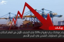 أرباح موانئ دبي تهوي 59% في النصف الأول متأثرة بأزمة البحر الأحمر